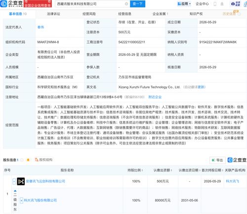 科大訊飛在西藏布局 新公司含多項AI業務，人工智能應用迎來區域新范例